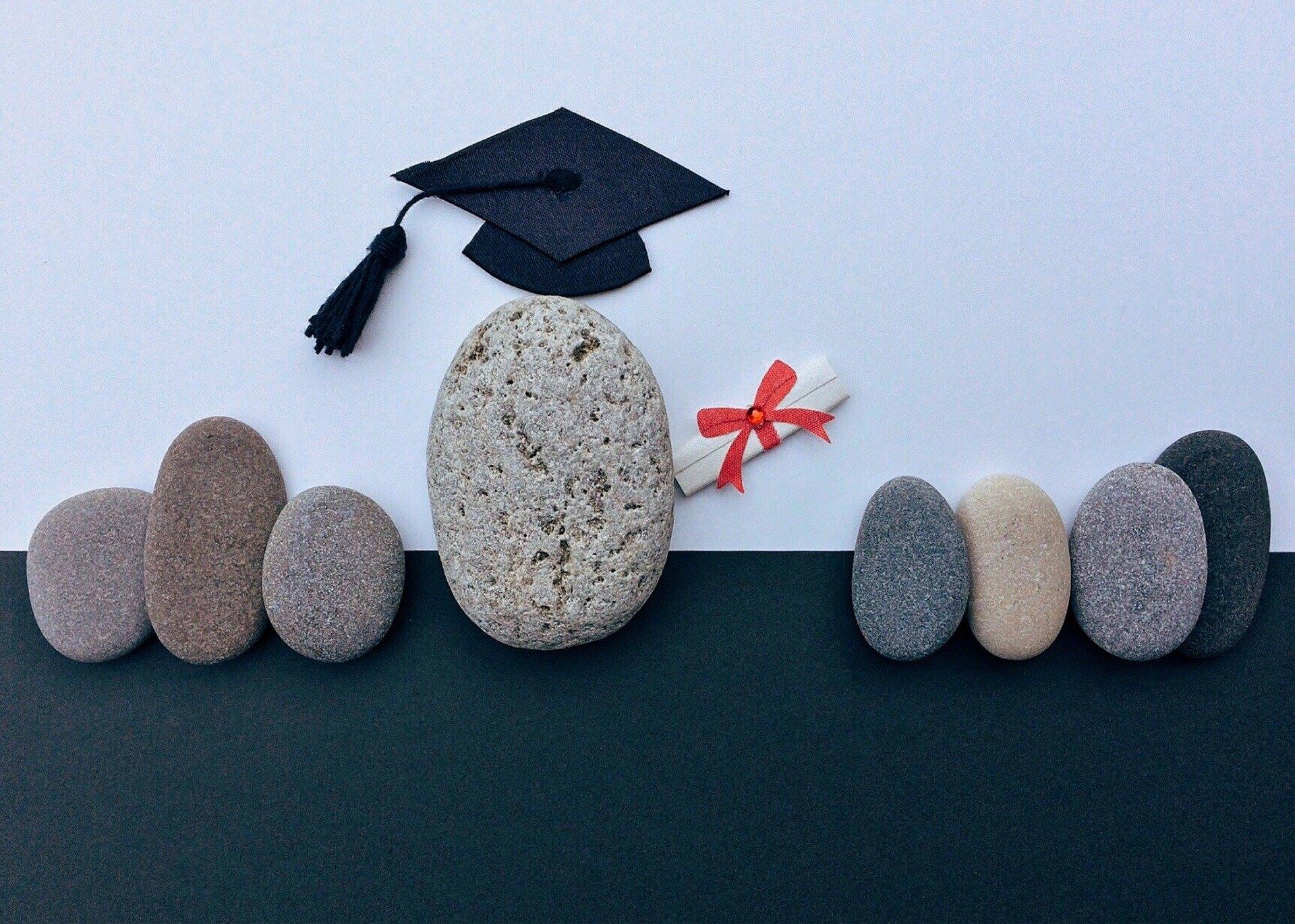 Academy accounts and audit