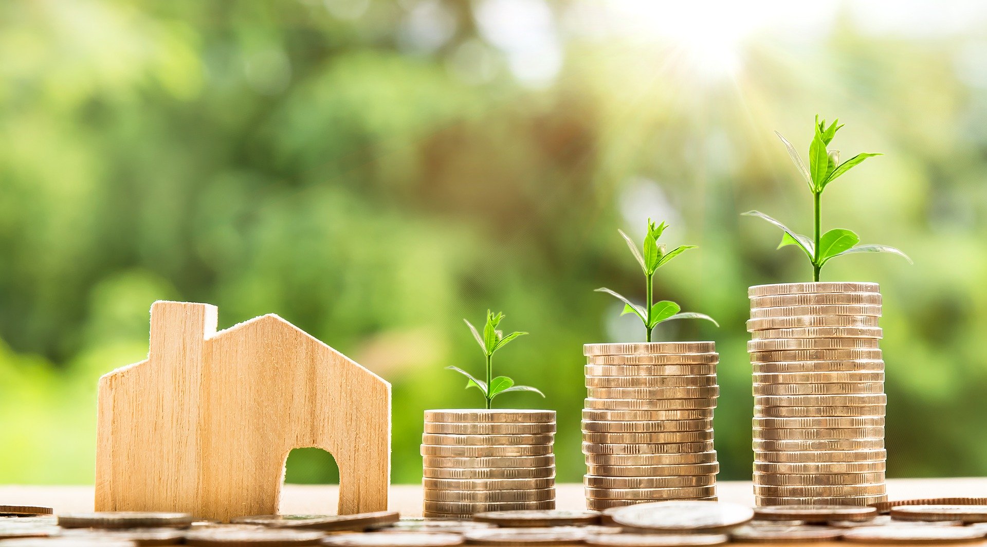 Property taxes